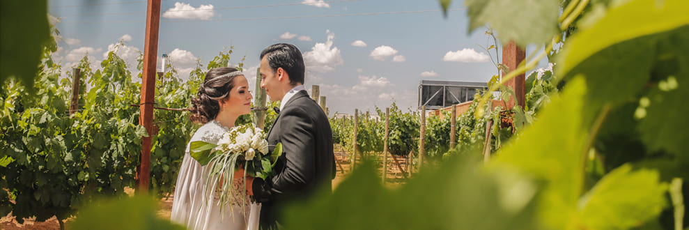 bodas y romance en Zacatecas